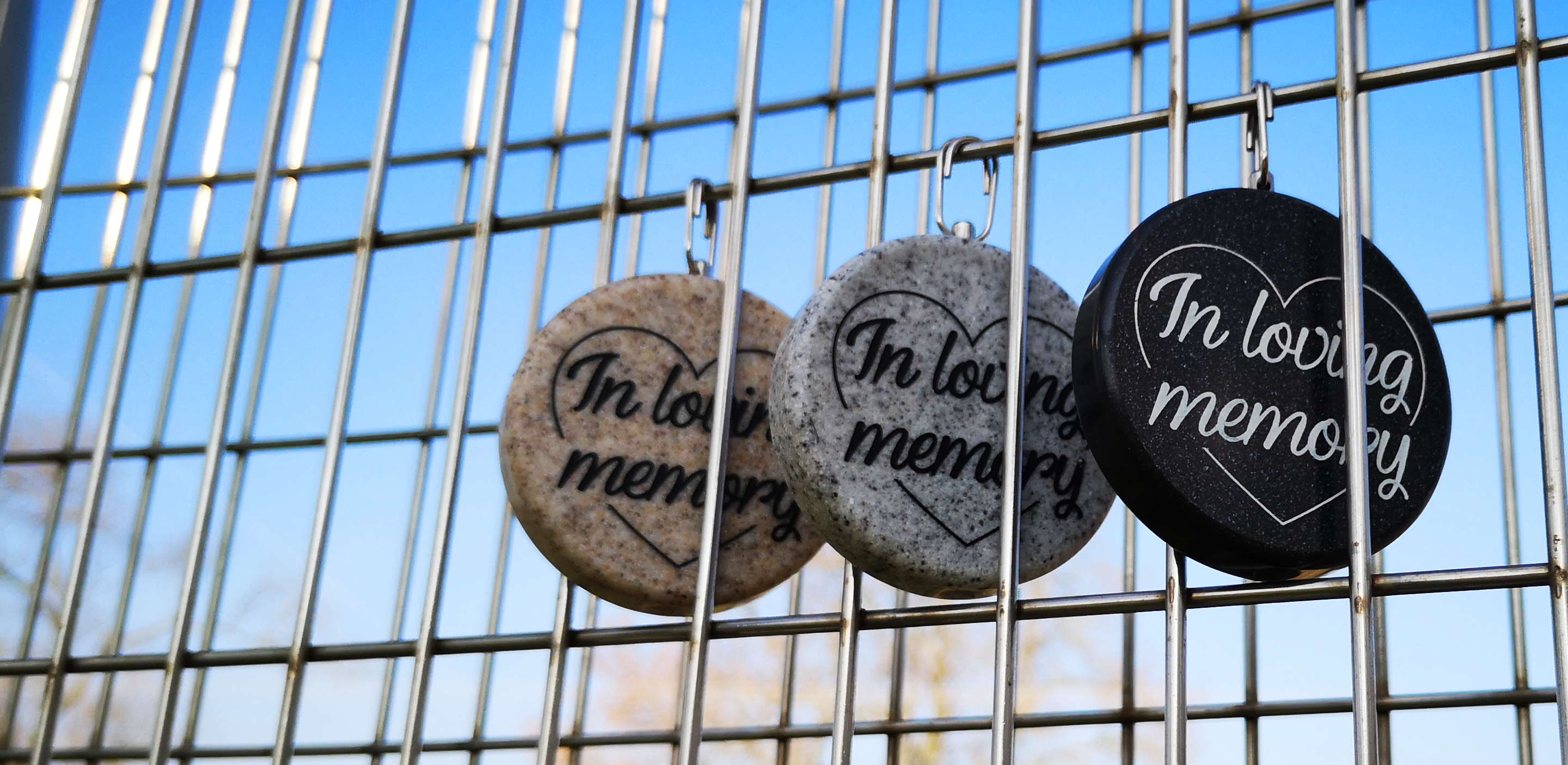leaves on a forever tree