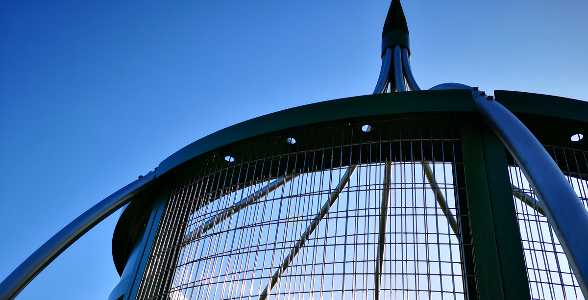 top section of the large lovelock tree