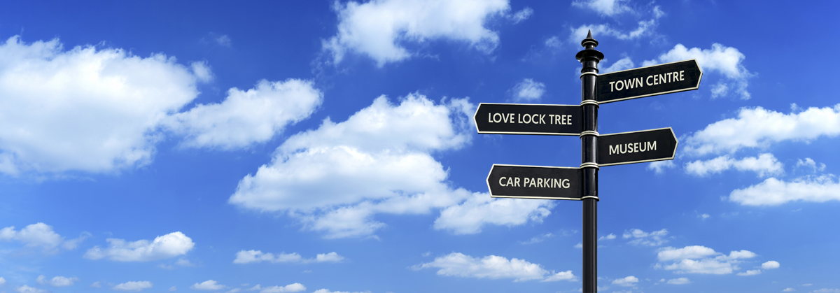 new medium sized tree