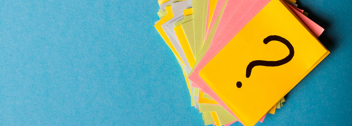 questions and answers about our love lock trees